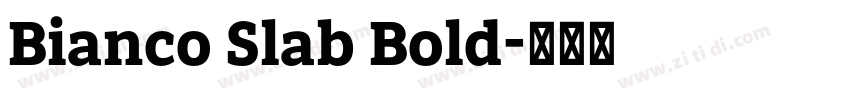 Bianco Slab Bold字体转换